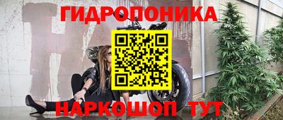 MDMA Premium VHQ Камышлов