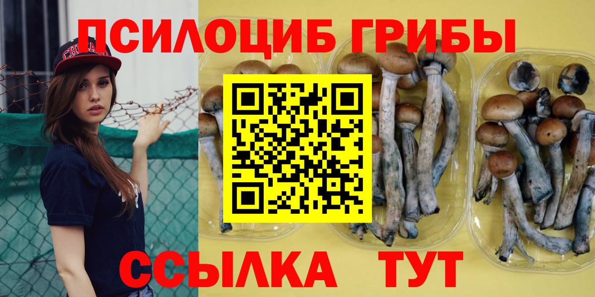 Юрга  Галлюциногенные грибы мицелий  Вход с VPN  Галлюциногенные грибы Psilocybe 