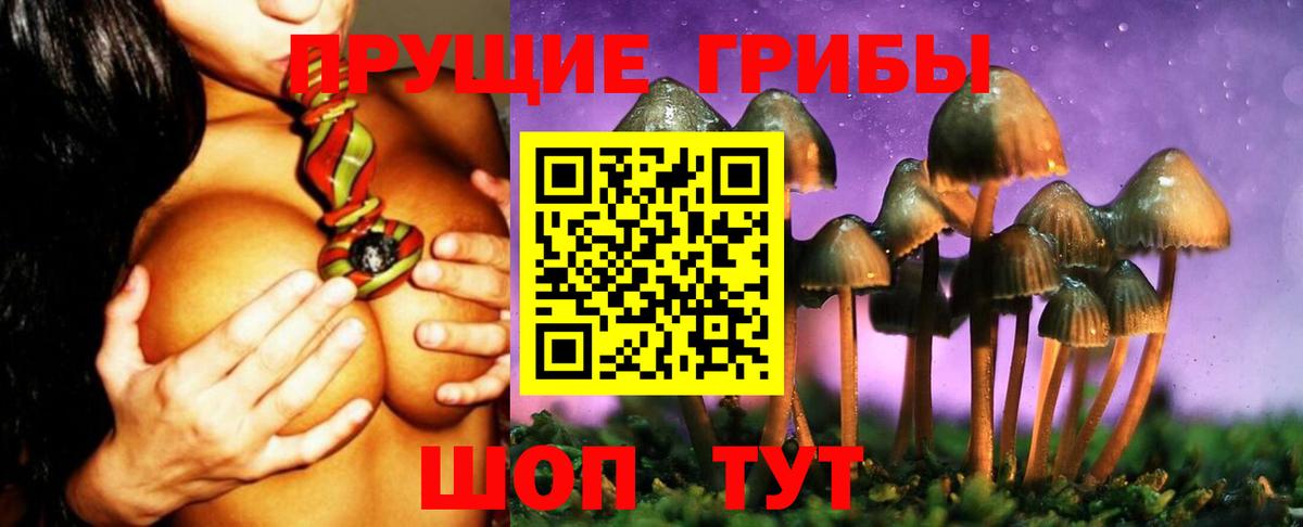 Псилоцибиновые грибы мухоморы Юрга